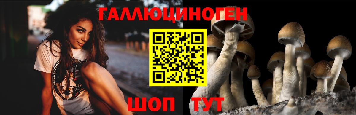 Светлоград  Псилоцибиновые грибы ЛСД  Вход с VPN 
